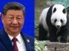 Xi Jinping announces to gift two pandas to US an envoy of friendship between two countries