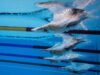 Indian Swimmer To Miss Asian Games After 18-Month Doping Ban