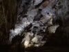 A Pennsylvania family has owned Penn’s Cave since 1908 and expanded its land to protect its water; 118 years later, the 1,400-acre attraction with a cavern, wildlife park and airport is seeking a new owner