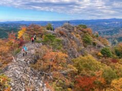 Japan’s Longest Loop long trail, the Hitachi-no-kuni Long Trail, Fully Opens | News