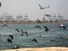 ‘Not afraid of Houthis, but we need more Imecs’: Saudi Arabia’s message on maritime trade resilience