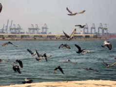 ‘Not afraid of Houthis, but we need more Imecs’: Saudi Arabia’s message on maritime trade resilience