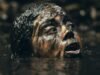 ‘Beware Boiúna’ movie review: Slithering and slashing away to creature feature heaven