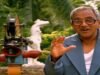 Daily Quiz: On Singeetham Srinivasa Rao