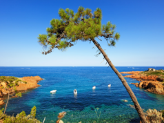 Simpson Travel acquires South France Villas | News
