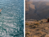 SIX SENSES ZIGHY BAY INVITES GUESTS TO EMBRACE THE OUTDOORS AS THE COOLER SEASON ARRIVES | News
